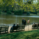 Benches in The Royal Parks