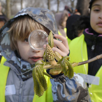 A child learns about nature by looking at a tree through a magnifying glass