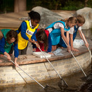 Children enjoy pond dipping at The Isis Eduation Centre at The LookOut, Hyde Park