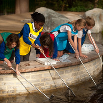 Children enjoy pond dipping at The Isis Education Centre, Hyde Park