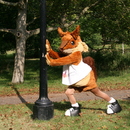 Chester the Squirrel exercising in the Park