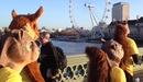 Squirrels_on_westminster_bridge__london_listing