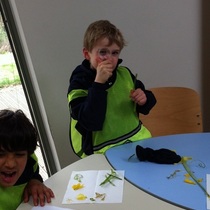 Children_dissecting_a_daffodil_as_part_of_green_fingers_in_the_park_square