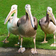 Pelicans_on_the_grass_tiny_square