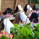 Doing stretches by the cabbage patch in the Isis Education Centre  Hyde Park