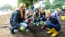 Girls_from_francis_holland_school_planting_daffodil_bulbs_in_hyde_park_listing