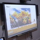 Learning about the life cycle of plants on a smart board in the Isis Education Centre at The LookOut in Hyde Park