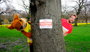 Ben_fogle_and_chester_the_squirrel_peek_out_from_behind_a_tree_listing