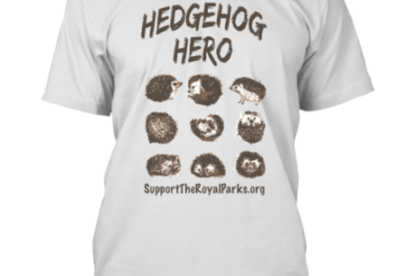 Hedgehog_article_detail