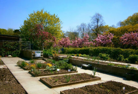 Regent_s_park_allotment_garden_article_detail