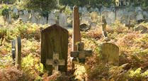 Brompton_cemetery_-_2014__-_graves_eastern_burial_zone_-_max_a_rush_dsc-0069_signpost