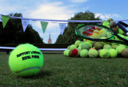 Tennis_balls_new_story_image_article_detail