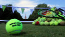 Tennis_balls_new_story_image_listing